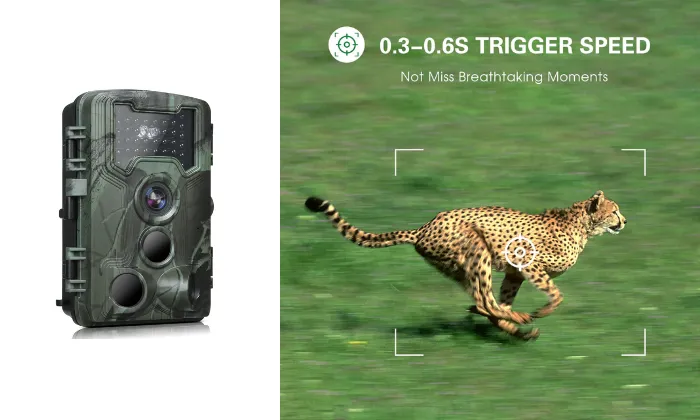36MP 1080P Trail & Game Camera with Night Vision