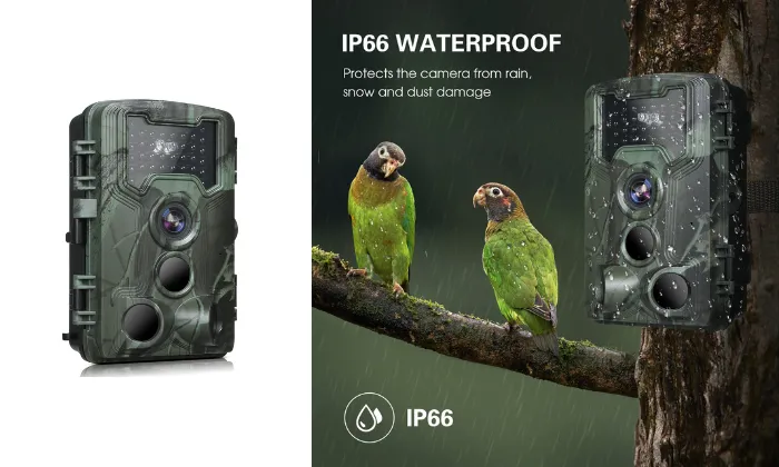 36MP 1080P Trail & Game Camera with Night Vision