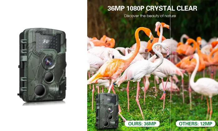 36MP 1080P Trail & Game Camera with Night Vision