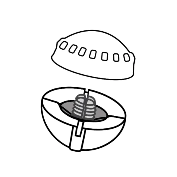 Airlock Center Lock Strike Indicator