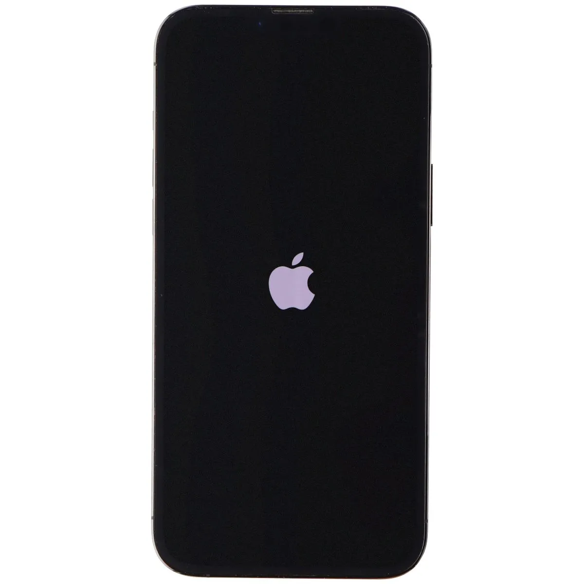 Apple iPhone 13 Pro Max (6.7-inch) A2484 AT&T Only - 128GB / Graphite