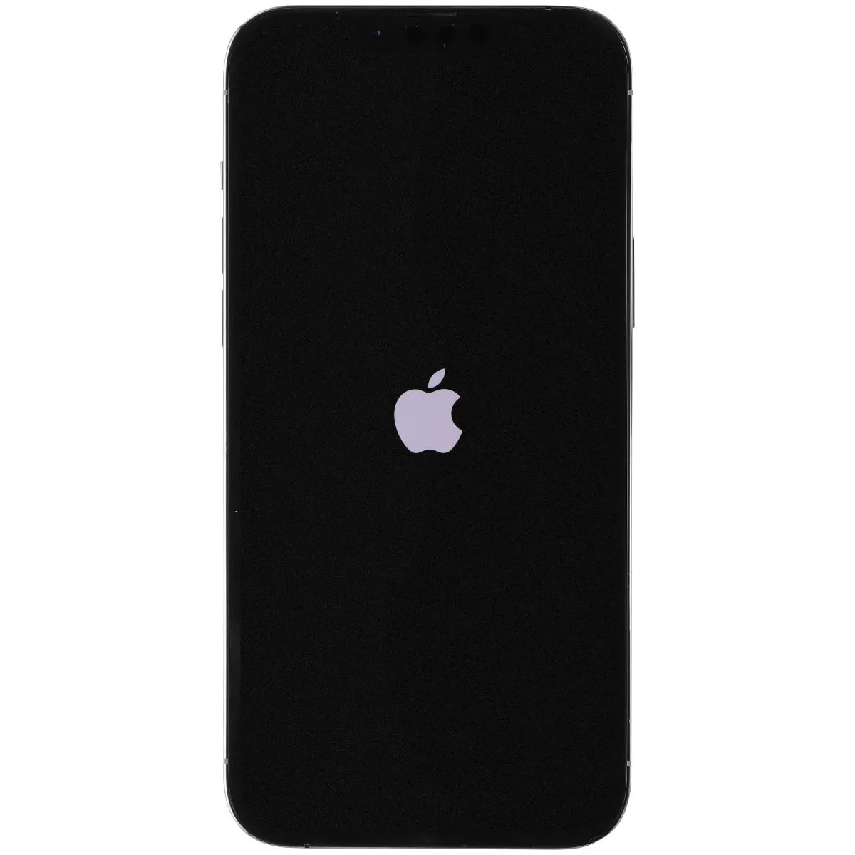 Apple iPhone 13 Pro Max (6.7-inch) Smartphone (A2484) Unlocked - 256GB/Silver