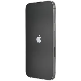 Apple iPhone 13 Pro Max (6.7-inch) Smartphone (A2484) Unlocked - 256GB/Silver