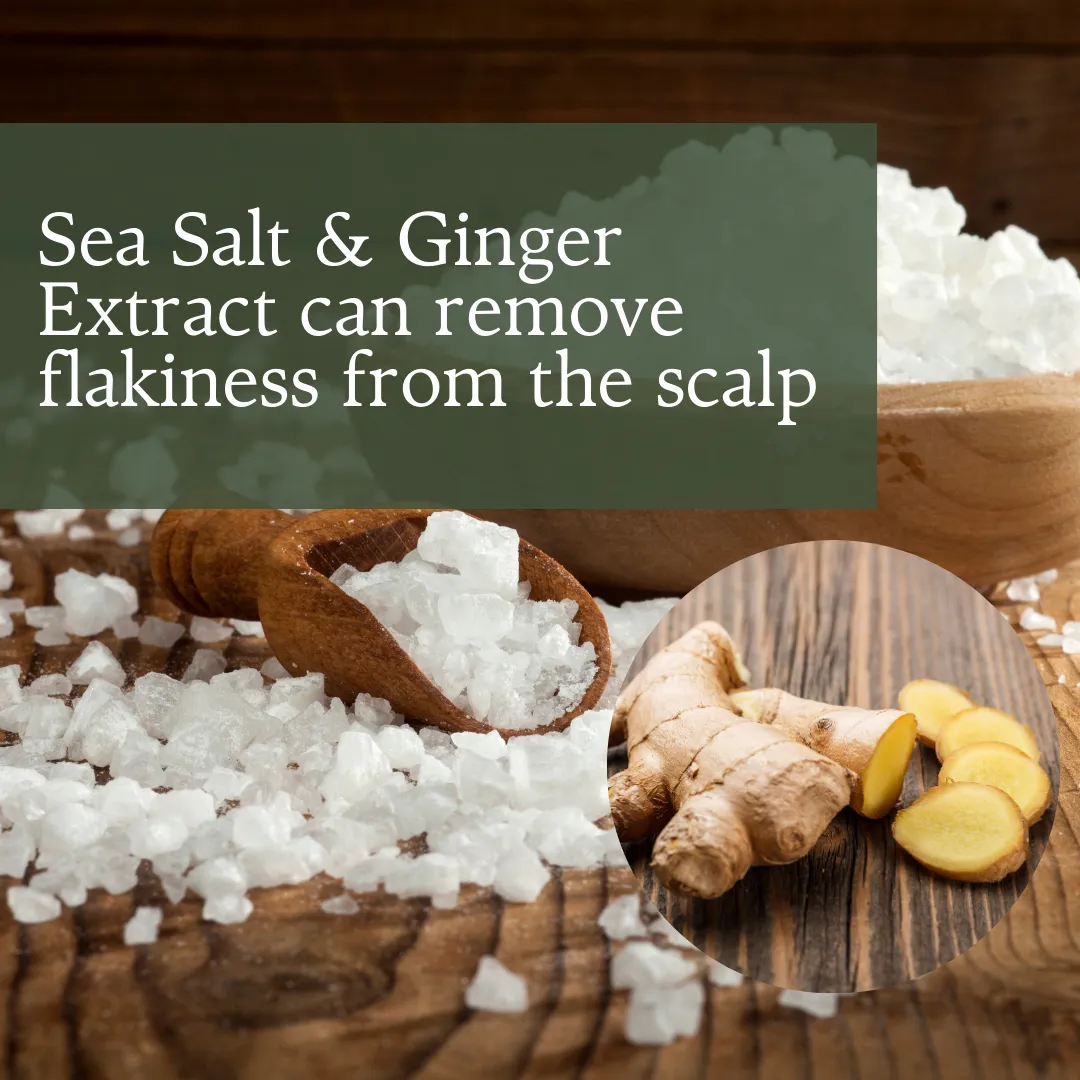 AS- Ginger Hair Care Combo Pack: Luscious Locks - Herbishh