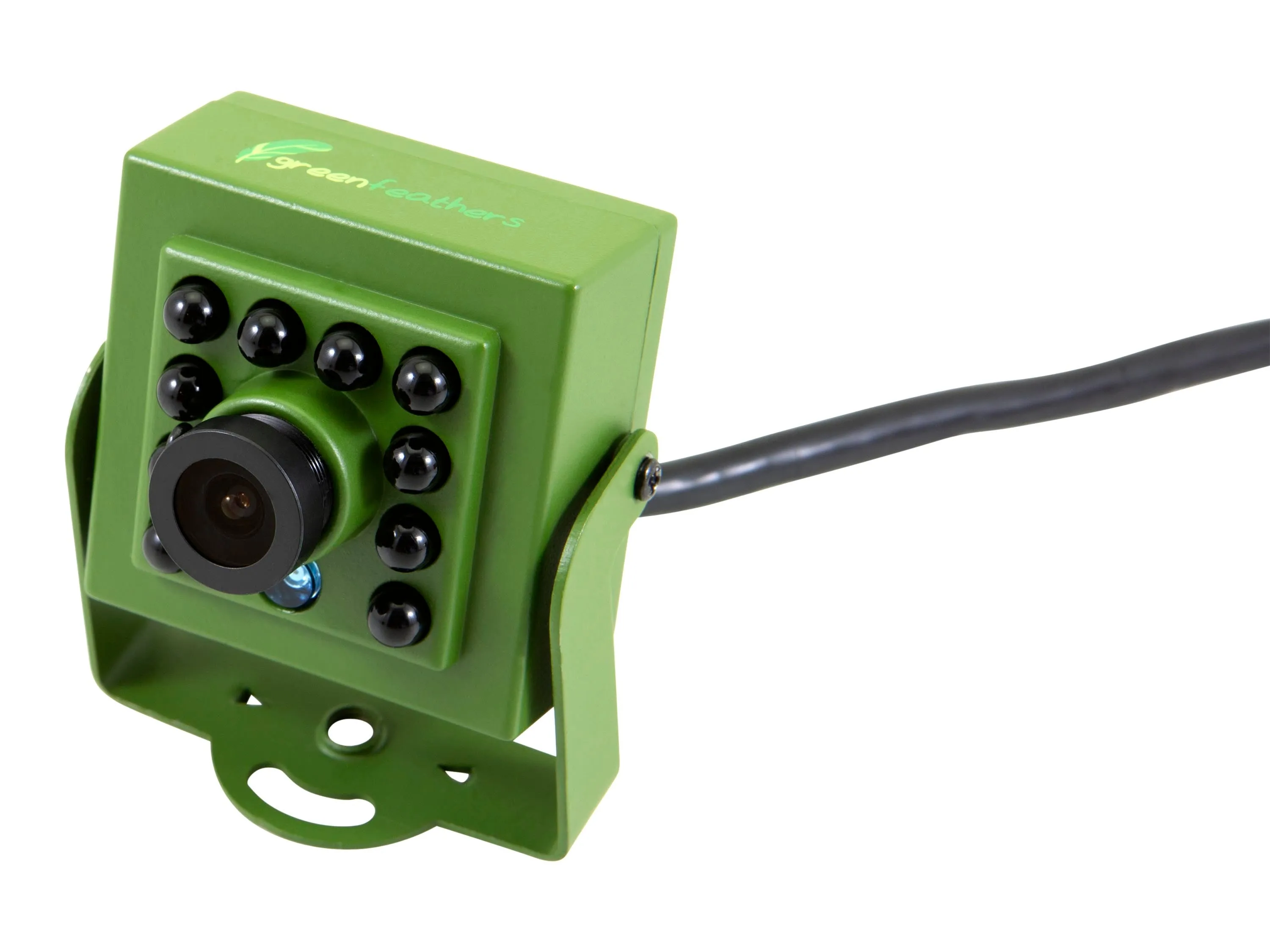 Cable Connection Bird Box & Wildlife HD Camera Recorder Pack