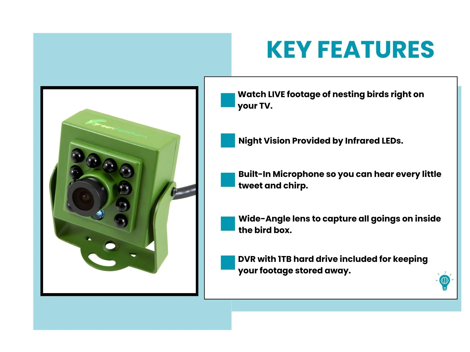 Cable Connection Bird Box & Wildlife HD Camera Recorder Pack