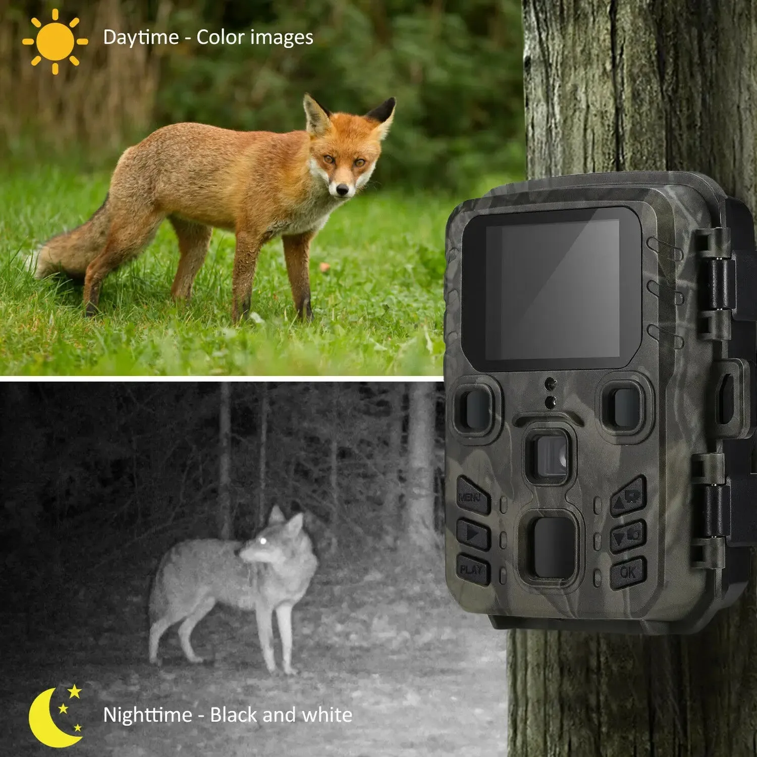 Hunting Wild Trail Camera 20MP 1080P Outdoor Wildlife Cameras Scouting Surveillance Mini301 Night Vision Photo Traps Tracking