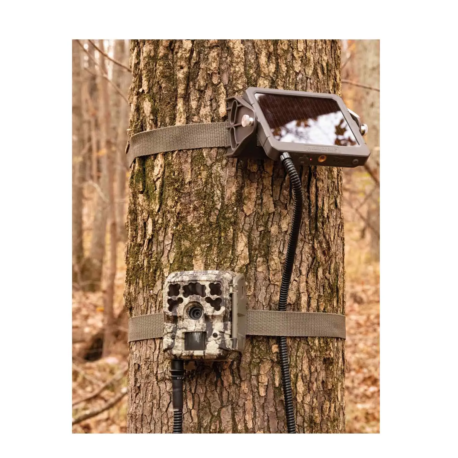 Moultrie 6V Feeder | Micro Camera Solar Power Panel