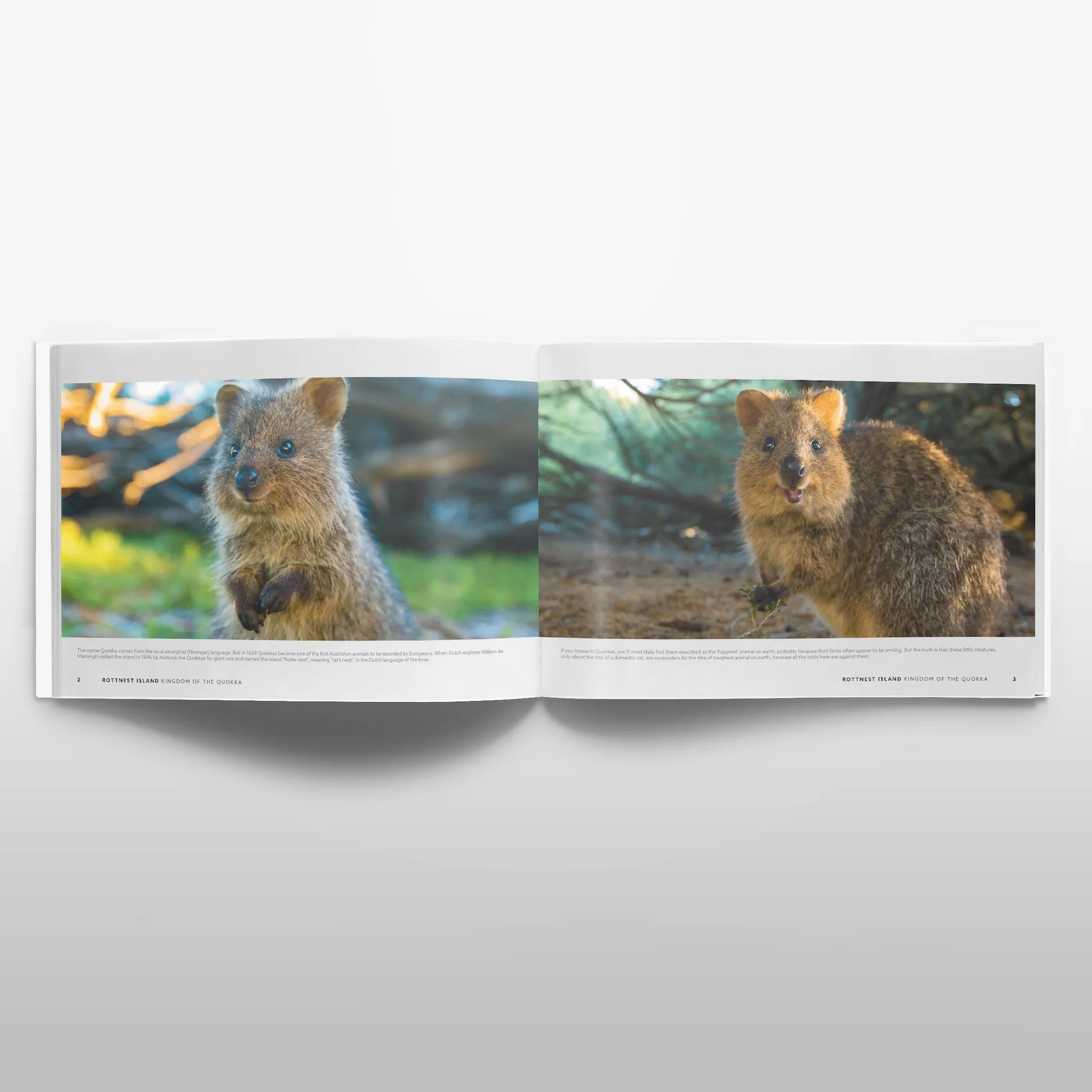 Rottnest Island: Kingdom of the Quokka