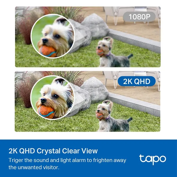 TAPO C420 | Smart Wire-Free Security Camera