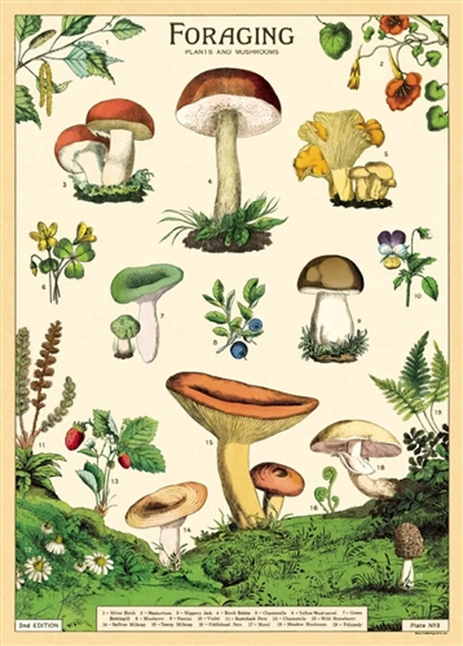 Vintage-Inspired Poster