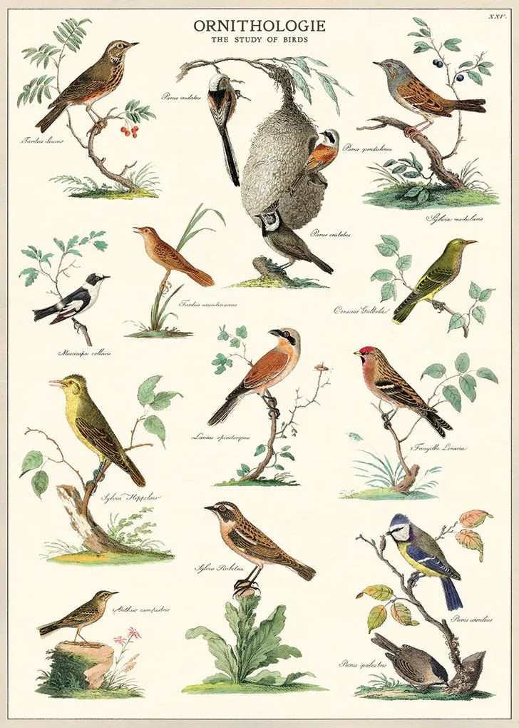 Vintage-Inspired Poster