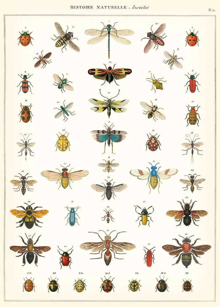 Vintage-Inspired Poster