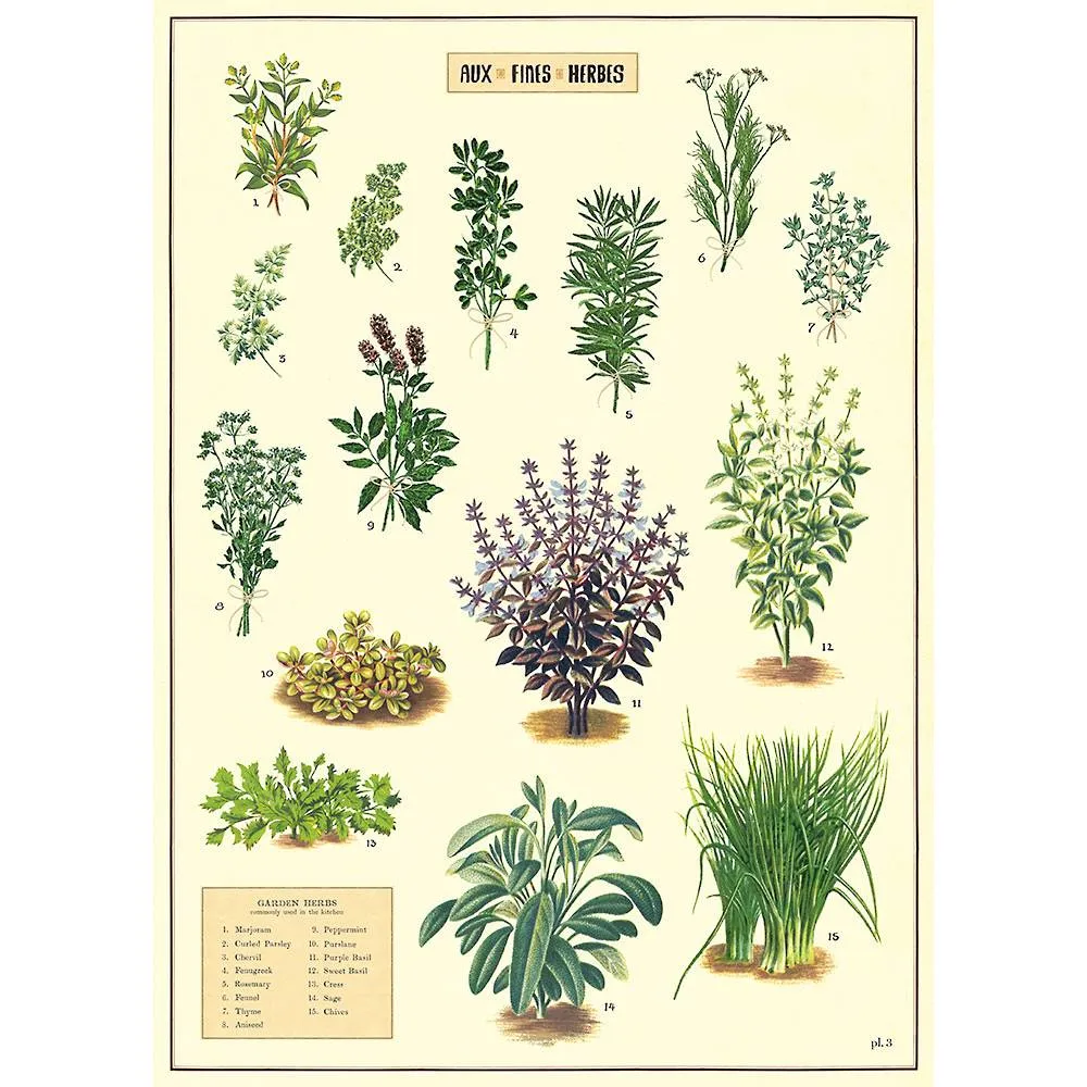Vintage-Inspired Poster